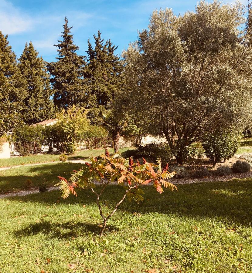 Le Mogador Chateau Du Martinet Violès Kültér fotó