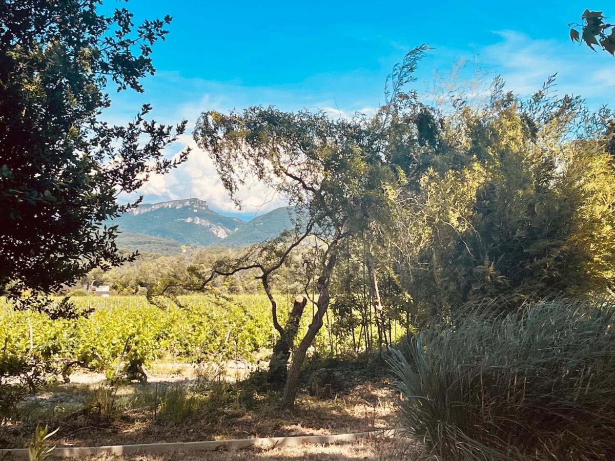 Le Mogador Chateau Du Martinet Violès Kültér fotó
