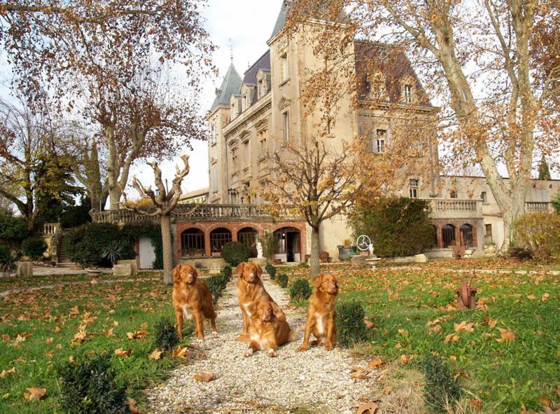 Le Mogador Chateau Du Martinet Violès Kültér fotó