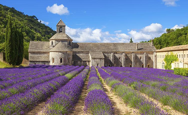Le Mogador Chateau Du Martinet Violès Kültér fotó